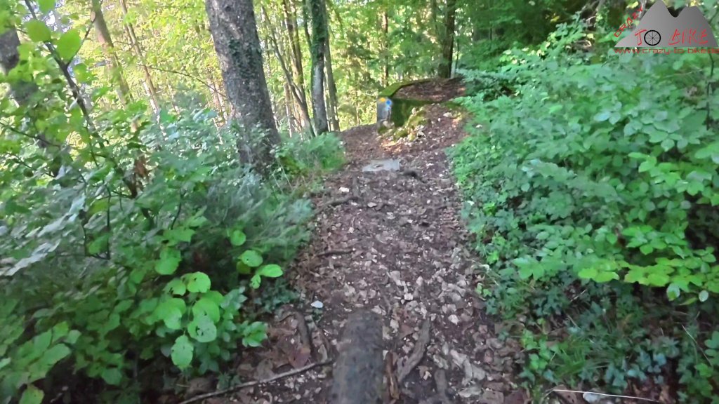 Trails zwischen Bad Säckingen und Heuberg über dem Weratal (10.09.2025)