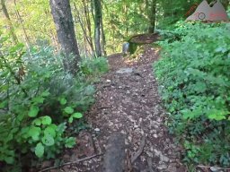 2025-09-09_trailbiken_tiersteinberg_01