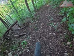 2025-09-17_bad_saeckingen_thuerner_flue_01