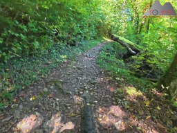 2025-09-19_trailbiken_hohe_moehr_02