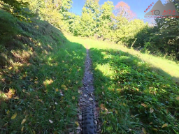 2025-09-19_trailbiken_hohe_moehr_03