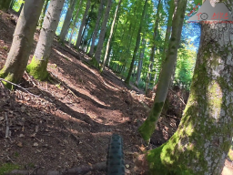 2025-09-19_trailbiken_hohe_moehr_07