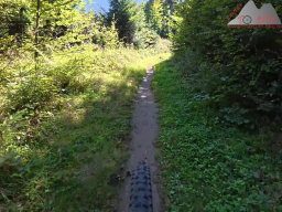 2025-09-19_trailbiken_hohe_moehr_09