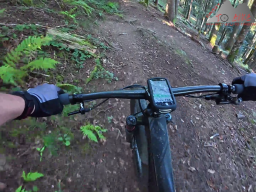 2025-09-19_trailbiken_hohe_moehr_20