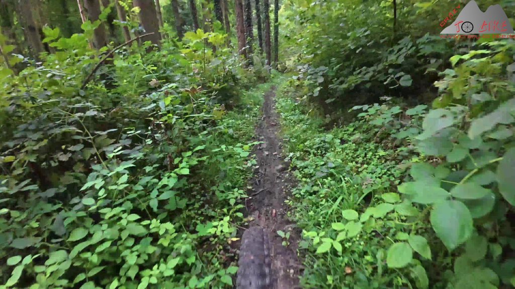 Trailbiken auf dem Sissle-Trail (21.09.2025)