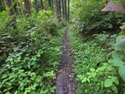 2025-09-21_sissle-trail_02