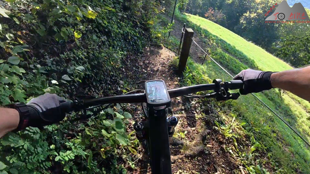 Schinbergtrail, Cheisacher Turm und Bürersteigtrail (28.09.2025)
