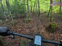 2025-09-28_schinbergtrail_cheisacher_turm_und_burersteigtrail_04