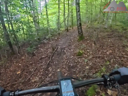 2025-09-28_schinbergtrail_cheisacher_turm_und_burersteigtrail_05