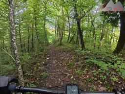 2025-09-28_schinbergtrail_cheisacher_turm_und_burersteigtrail_07