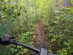 2025-09-28_schinbergtrail_cheisacher_turm_und_burersteigtrail_10