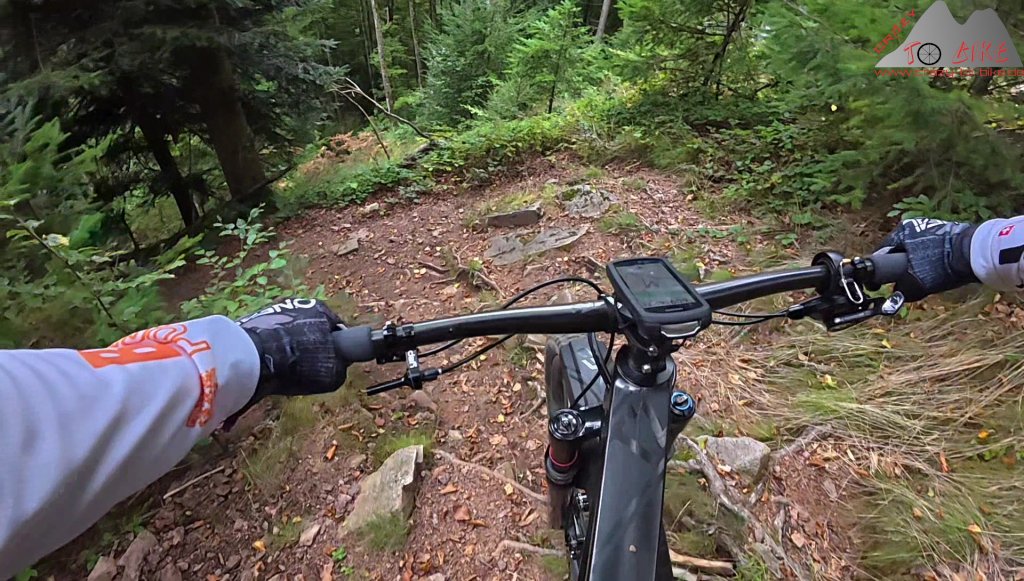 Trailbiken über die Hohe Möhr reloaded (03.10.2025)