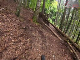 2025-10-03_trailbiken_hohe_moehr_reloaded_03