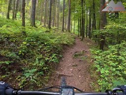 2025-10-03_trailbiken_hohe_moehr_reloaded_08