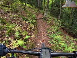 2025-10-03_trailbiken_hohe_moehr_reloaded_10