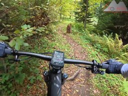 2025-10-03_trailbiken_hohe_moehr_reloaded_13