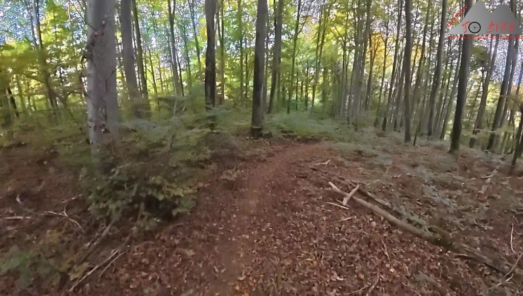 Biken auf den Sunneberg-und Zeiningertrail (15.09.2025)