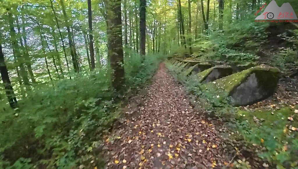 Trailbiken Sunneberg reloaded (15.10.2025)