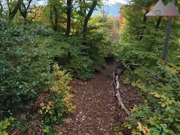 2025-10-15_trailbiken_sunneberg_reloaded_01