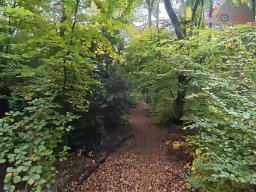 2025-10-15_trailbiken_sunneberg_reloaded_02