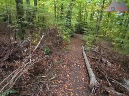 2025-10-15_trailbiken_sunneberg_reloaded_04