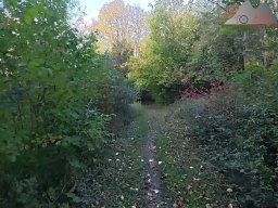 2025-10-15_trailbiken_sunneberg_reloaded_32