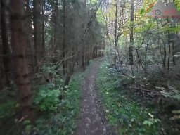 2025-10-15_trailbiken_sunneberg_reloaded_33