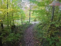 2025-10-15_trailbiken_sunneberg_reloaded_35