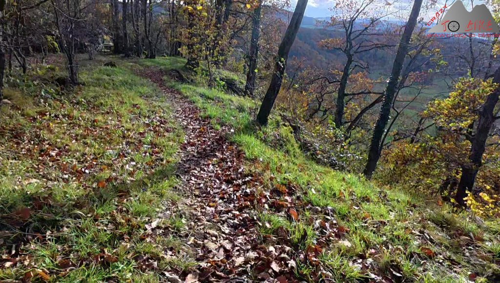 Trailbiken an der Röti Flue (26.10.2025)