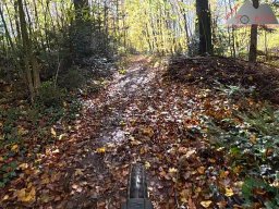 2025-10-26_trailbiken_an_der_roetiflue_01