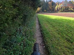 2025-10-26_trailbiken_an_der_roetiflue_04