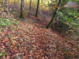 2025-10-26_trailbiken_an_der_roetiflue_05