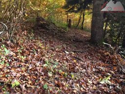 2025-10-26_trailbiken_an_der_roetiflue_06