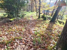 2025-10-26_trailbiken_an_der_roetiflue_07