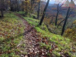 2025-10-26_trailbiken_an_der_roetiflue_08