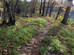 2025-10-26_trailbiken_an_der_roetiflue_09