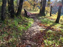 2025-10-26_trailbiken_an_der_roetiflue_10