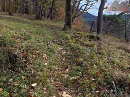 2025-10-26_trailbiken_an_der_roetiflue_11