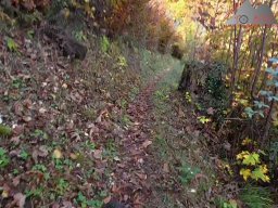 2025-10-26_trailbiken_an_der_roetiflue_13