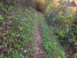 2025-10-26_trailbiken_an_der_roetiflue_14