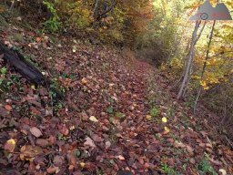 2025-10-26_trailbiken_an_der_roetiflue_15