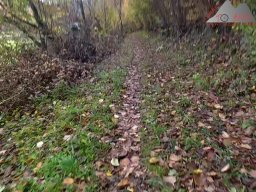 2025-10-26_trailbiken_an_der_roetiflue_16