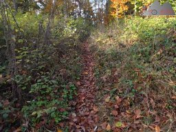 2025-10-26_trailbiken_an_der_roetiflue_18