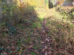 2025-10-26_trailbiken_an_der_roetiflue_19