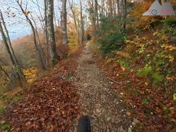 2025-10-26_trailbiken_an_der_roetiflue_24