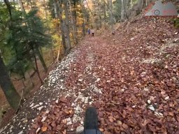 2025-10-26_trailbiken_an_der_roetiflue_25