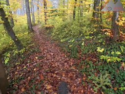 2025-10-26_trailbiken_an_der_roetiflue_26