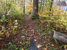 2025-10-26_trailbiken_an_der_roetiflue_27