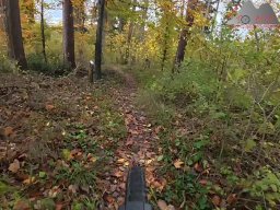 2025-10-26_trailbiken_an_der_roetiflue_28