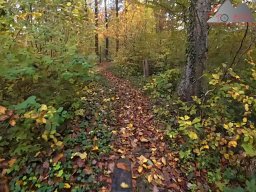 2025-10-26_trailbiken_an_der_roetiflue_30